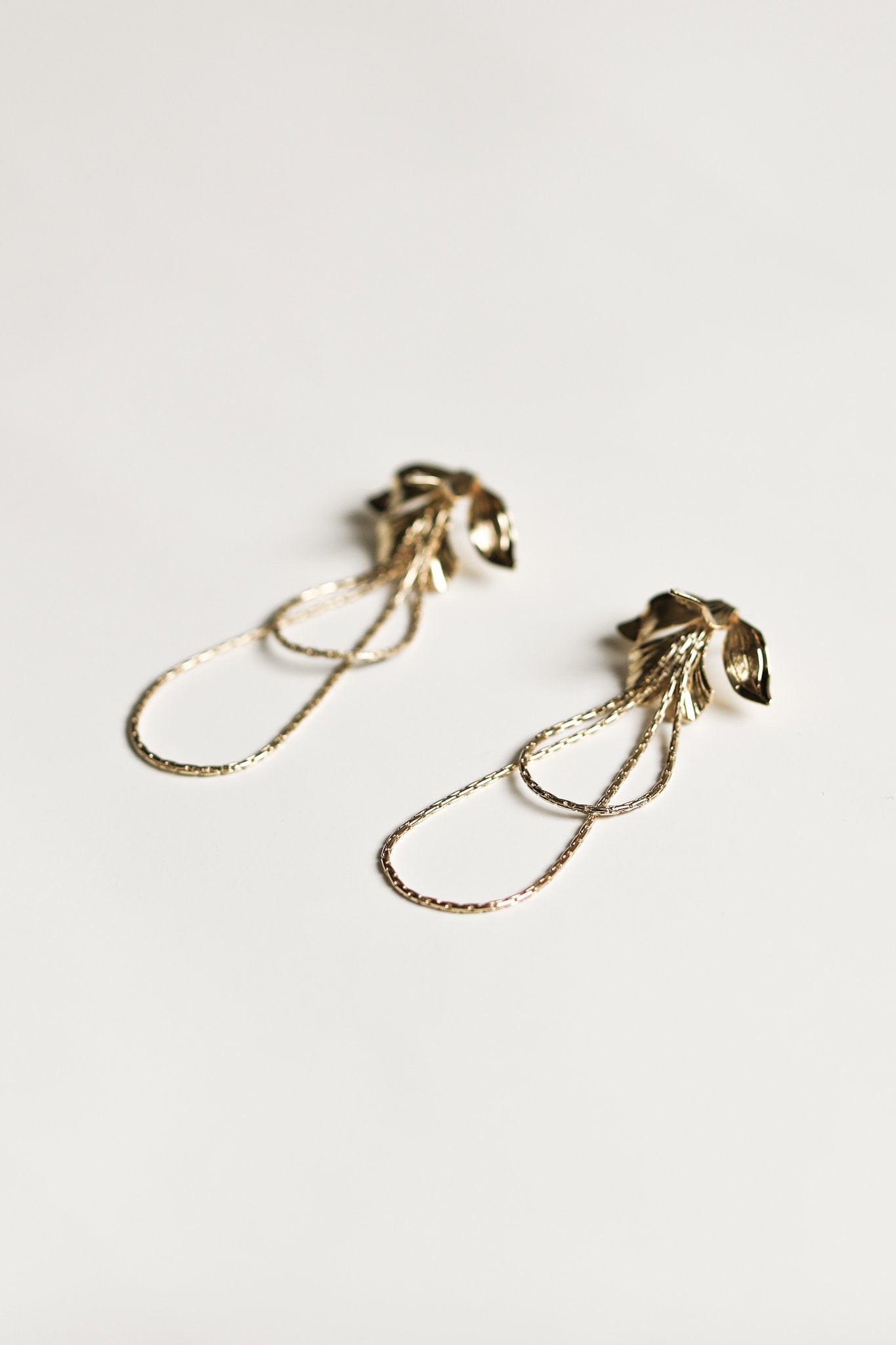 IRIS-DOUBLE-HOOP.jpg