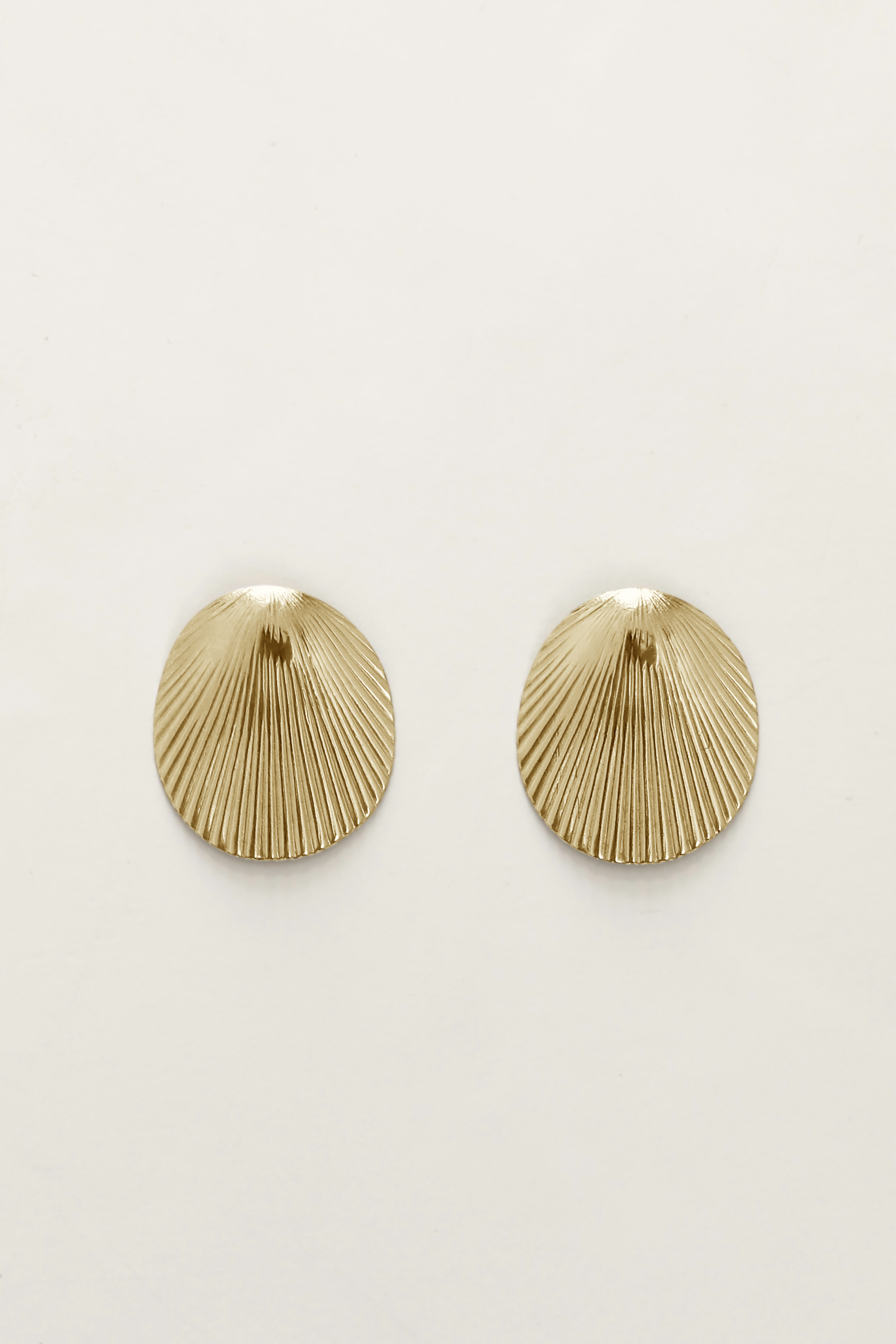 Rigid Shell Stud Earrings
