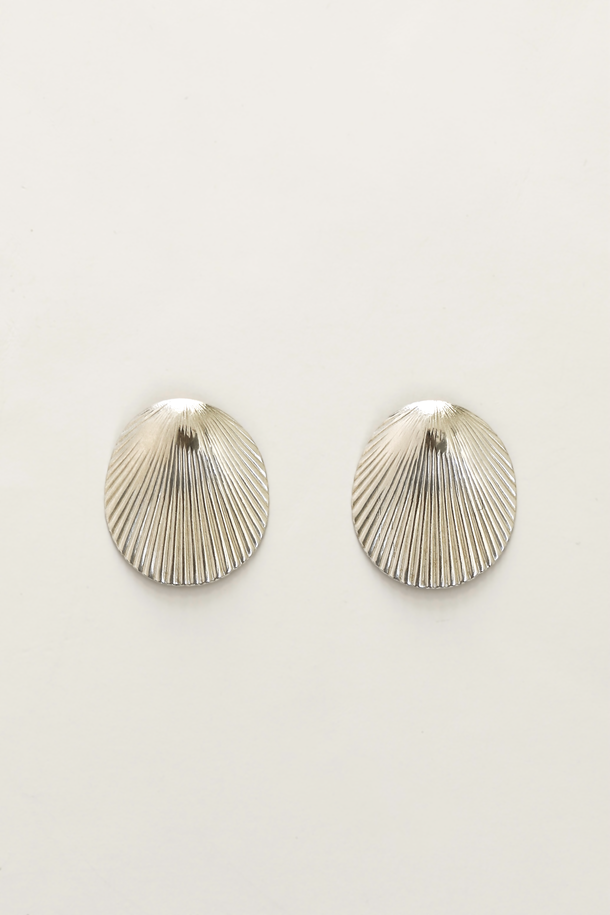 Rigid Shell Stud Earrings