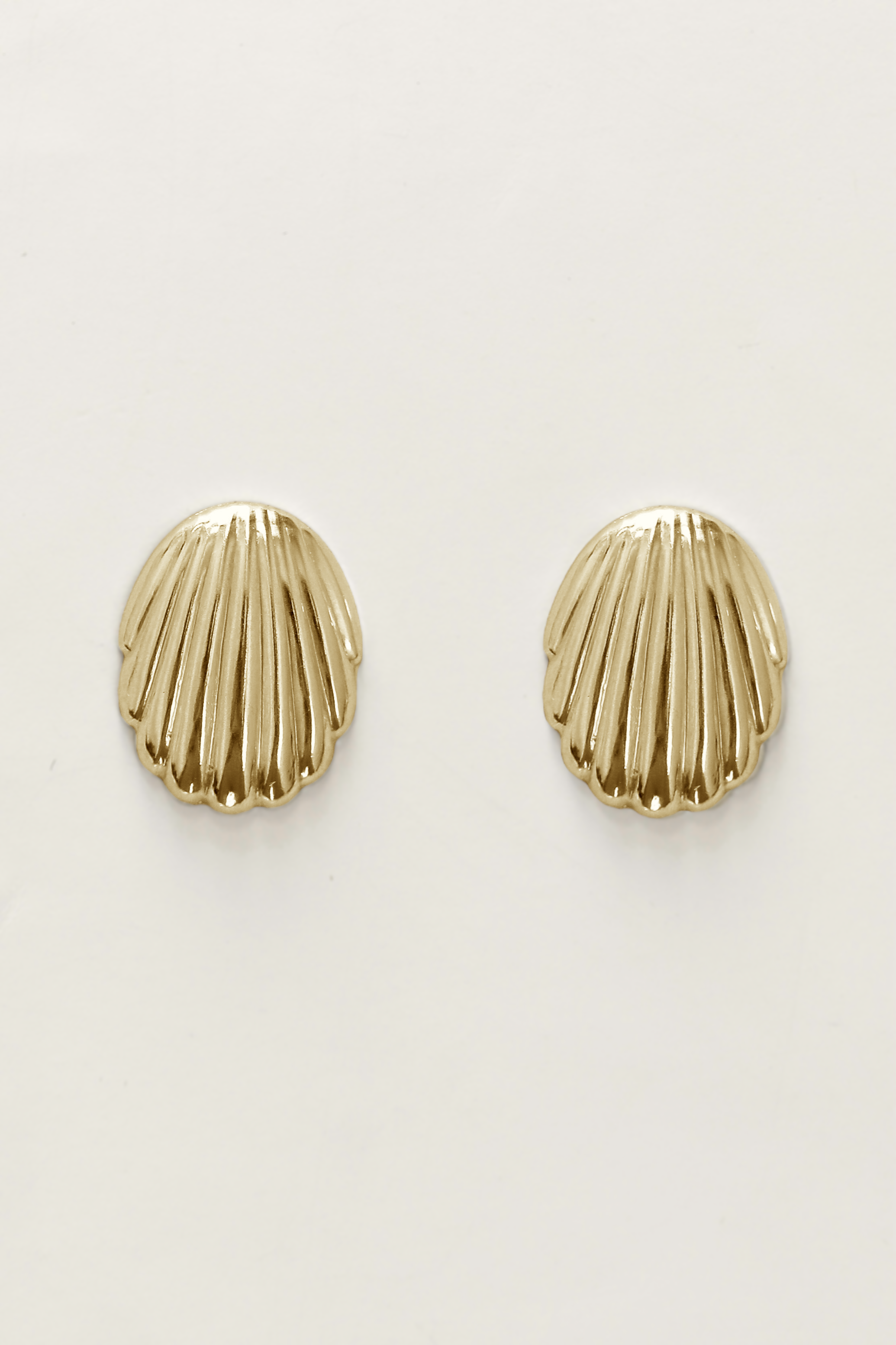 Scallop Shell Stud Earrings