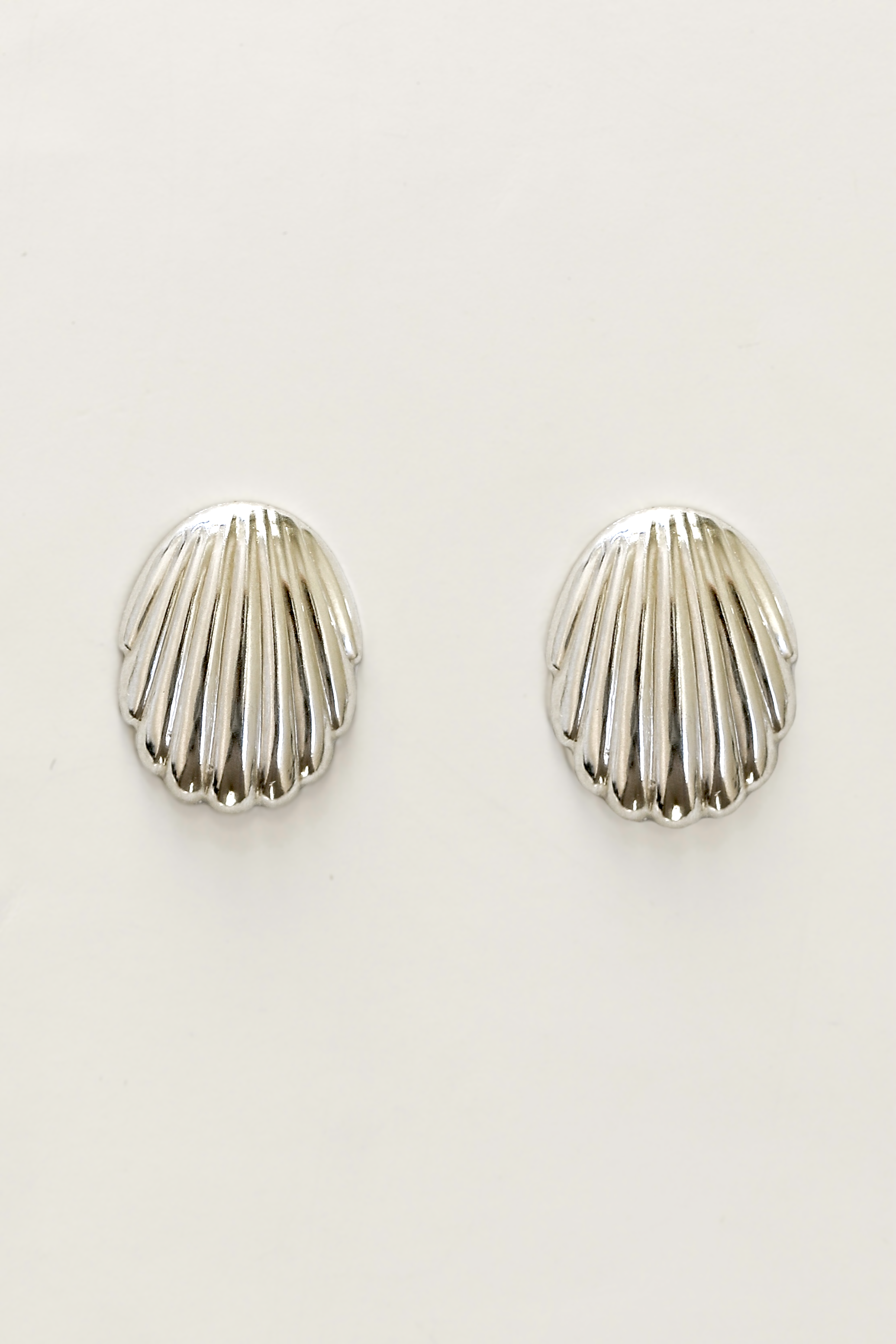 Scallop Shell Stud Earrings