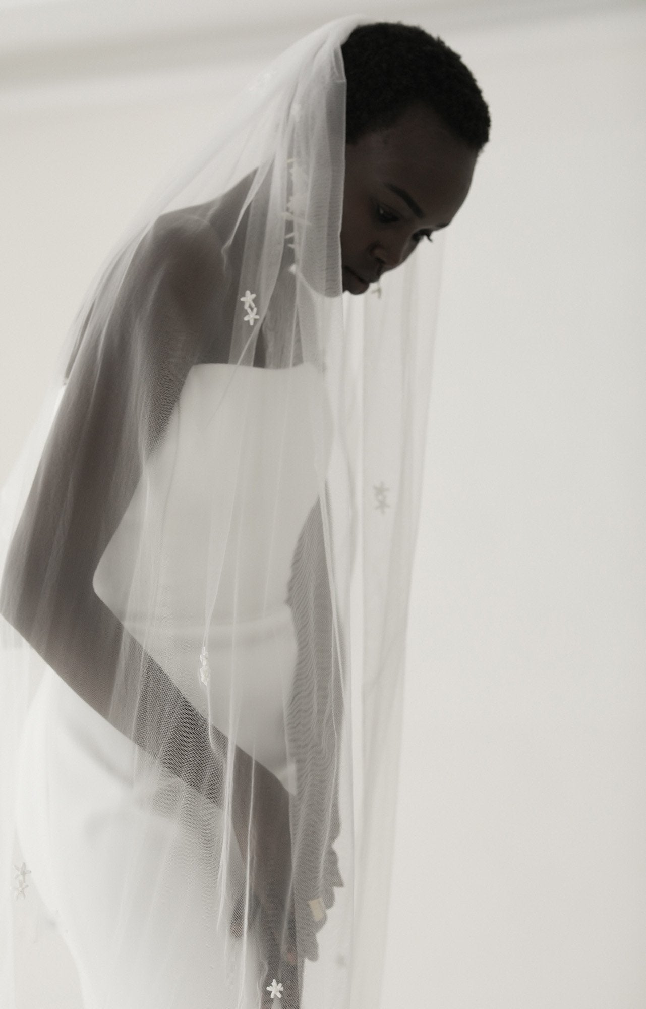 Aster Raffia Veil