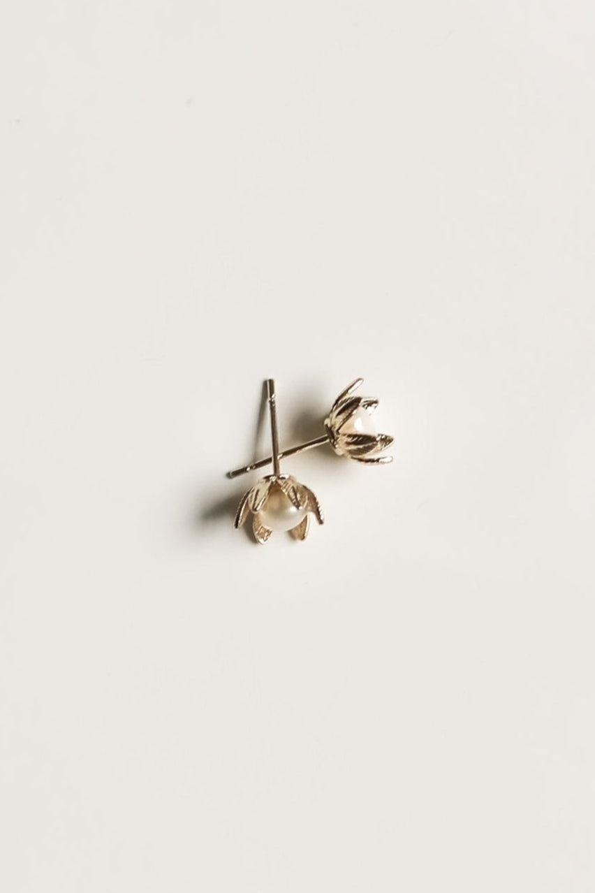 Brier Stud - Sale