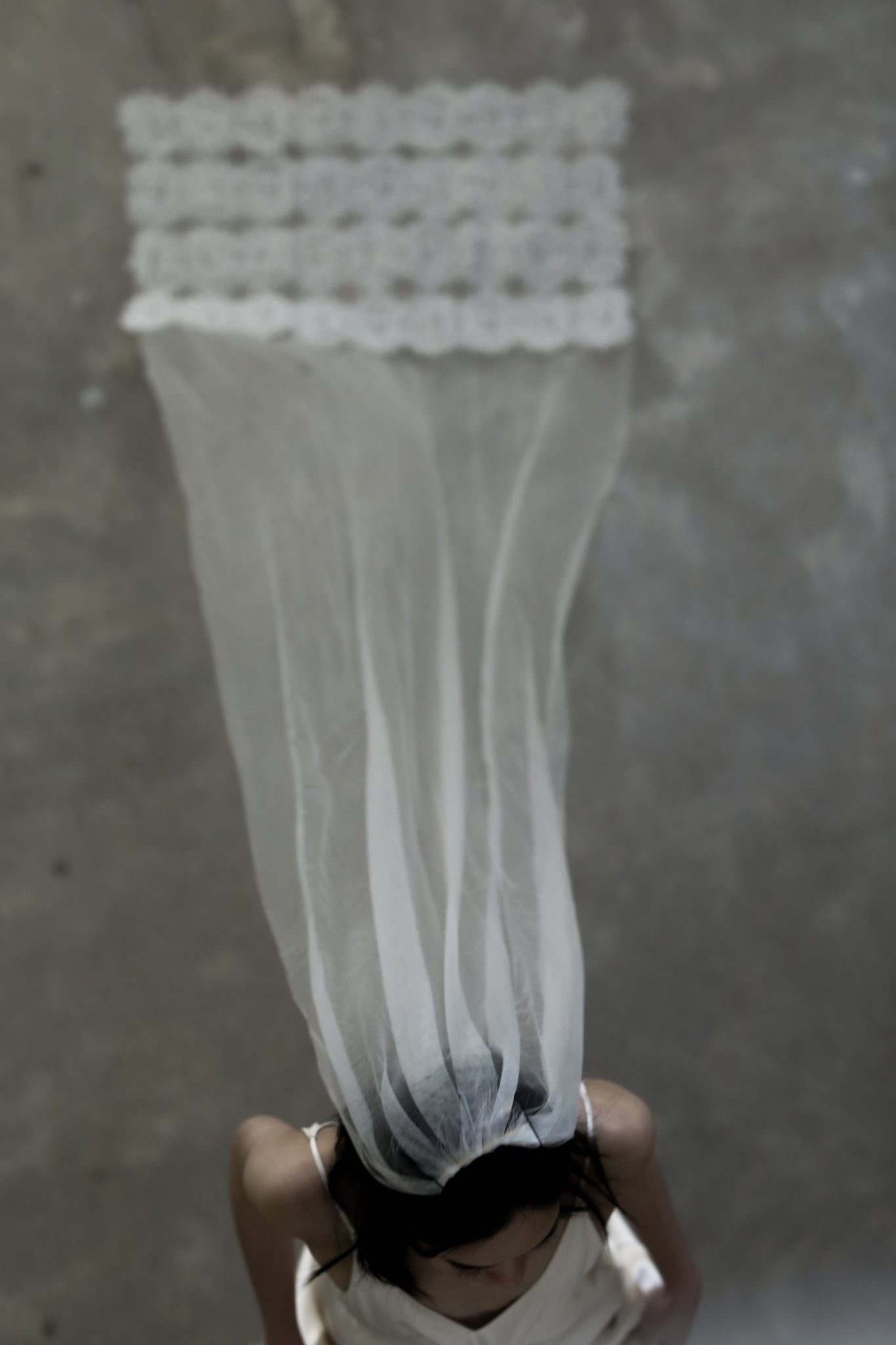 Isabella Lace Wedding Veil
